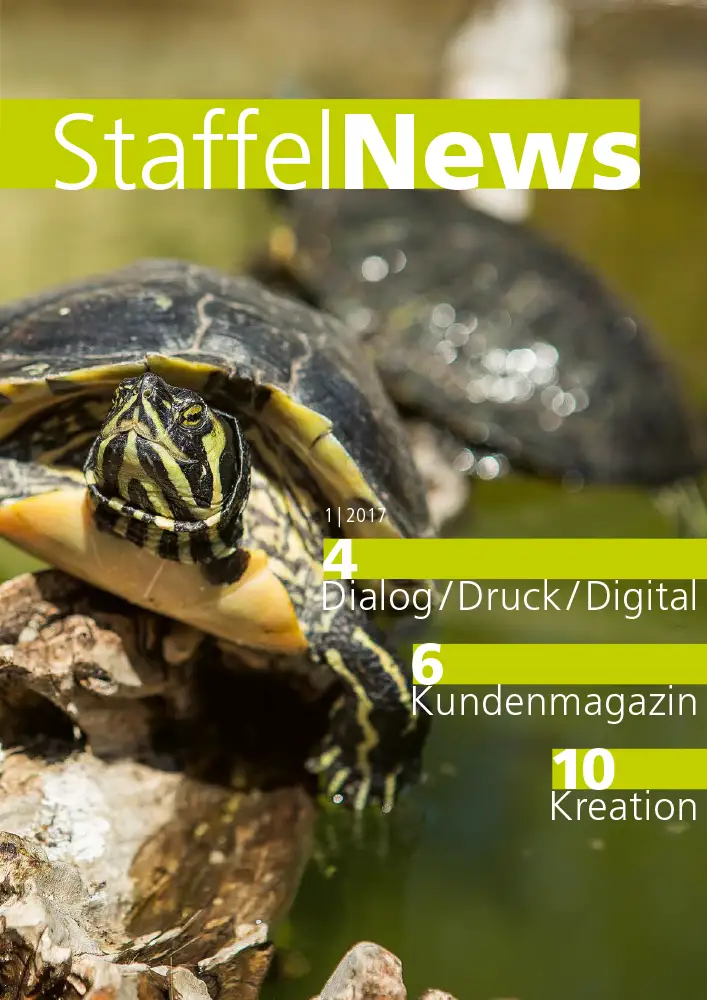 StaffelNews Ausgabe 2017/1 1