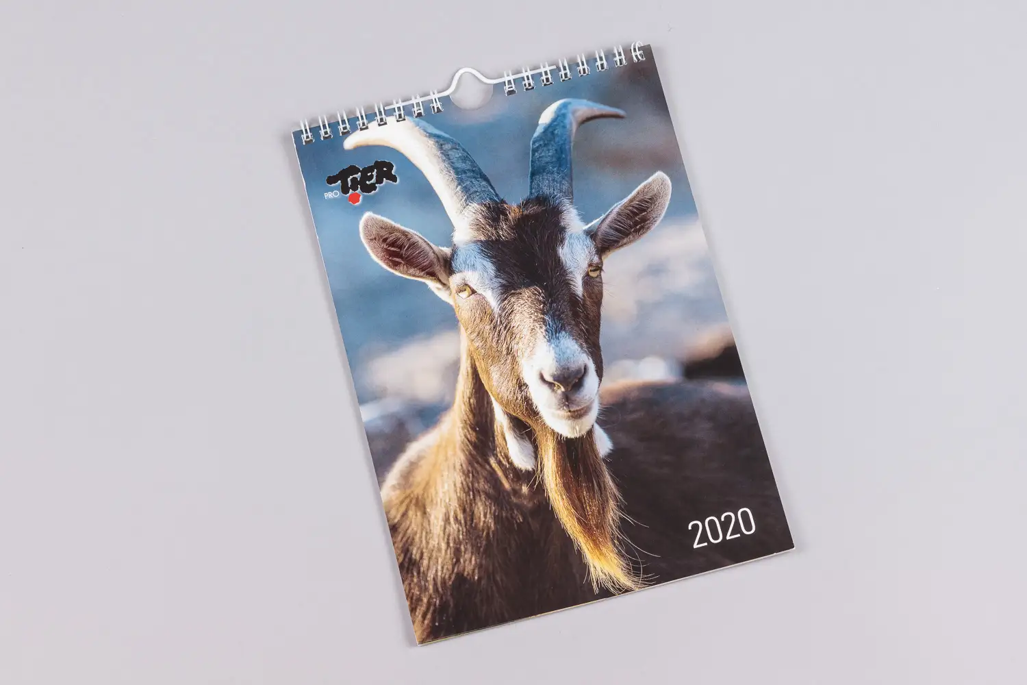 Kalender von ProTier mit Ziege