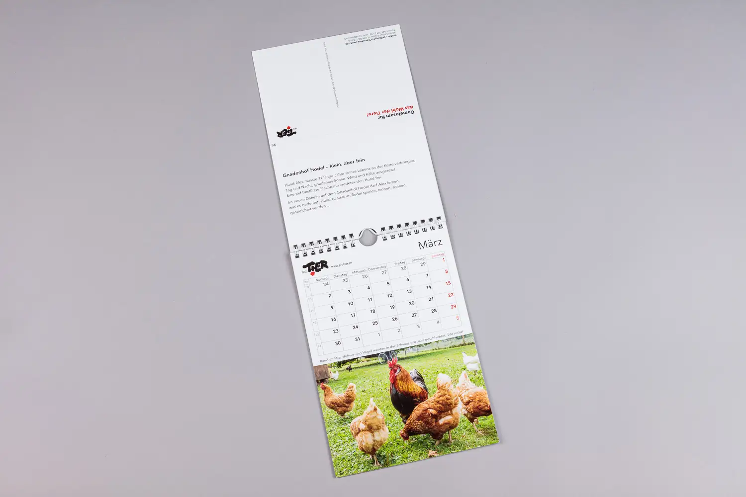 Gedruckter Kalender beidseitig bedruckt, geöffnet