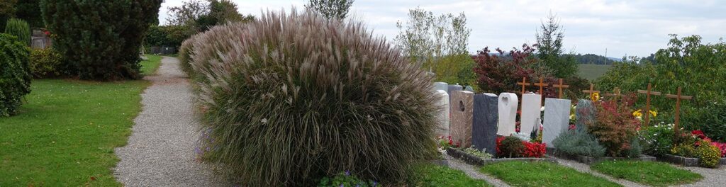 Friedhof